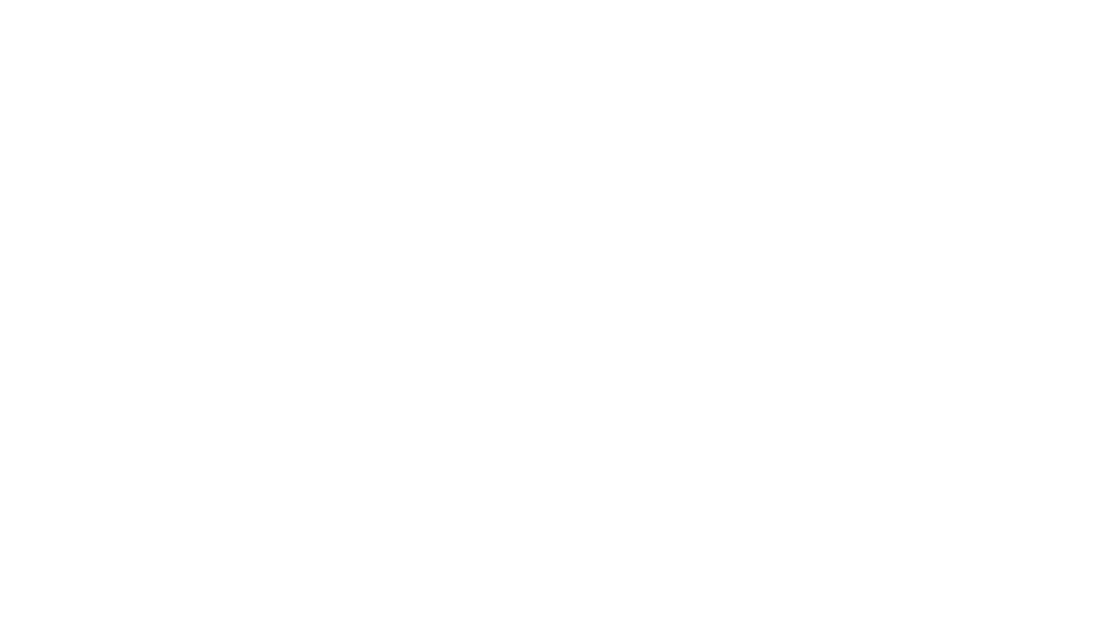 Logo Compliance - NetFiscal